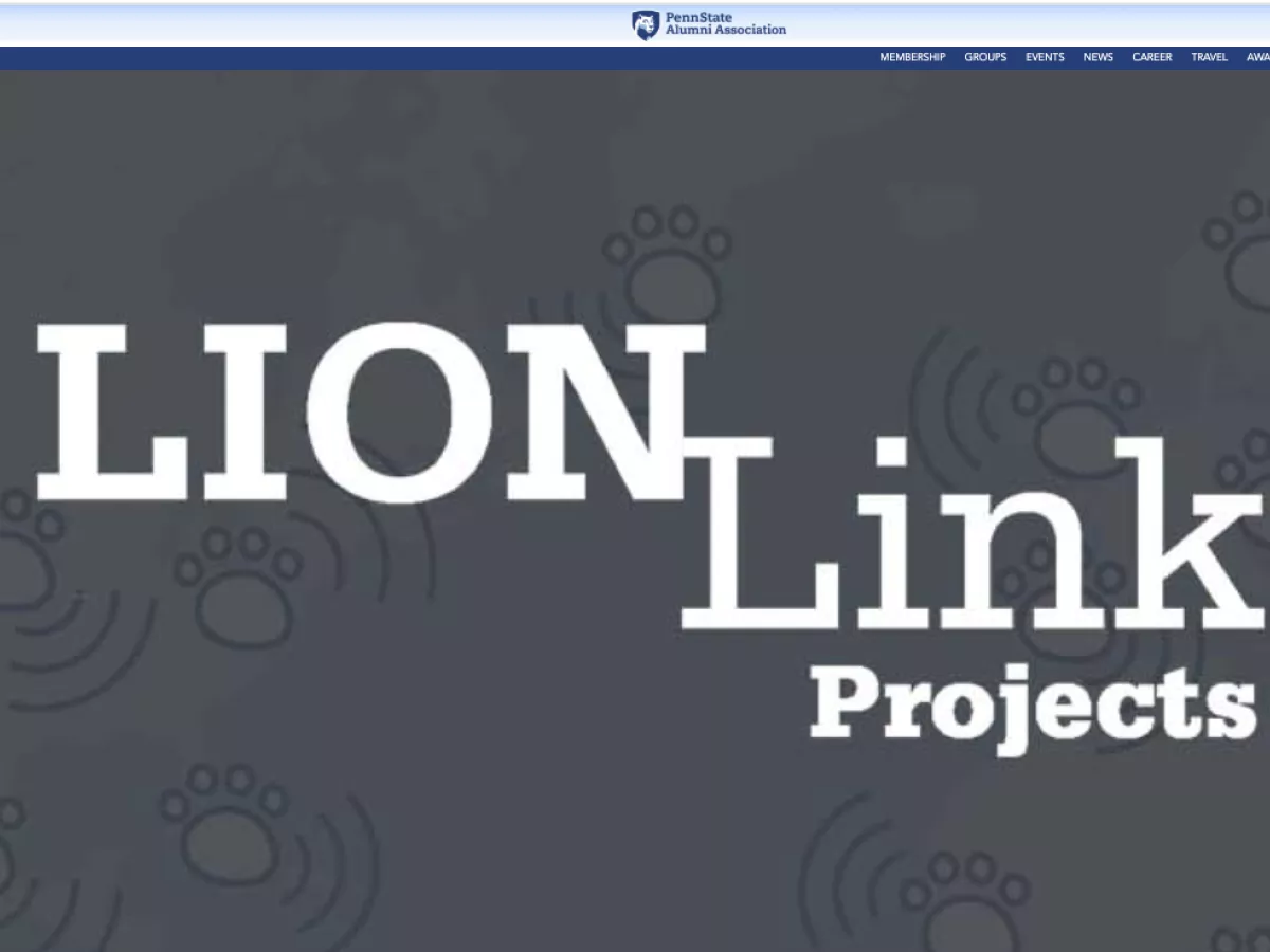 Lion Link Projects website overview image