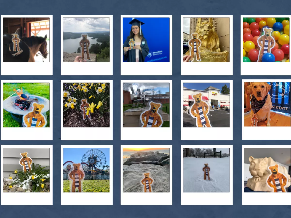 Collage of Flat Lion photos